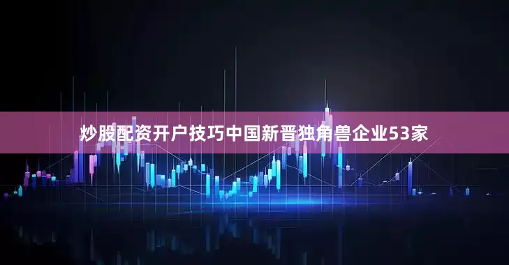 炒股配资开户技巧中国新晋独角兽企业53家