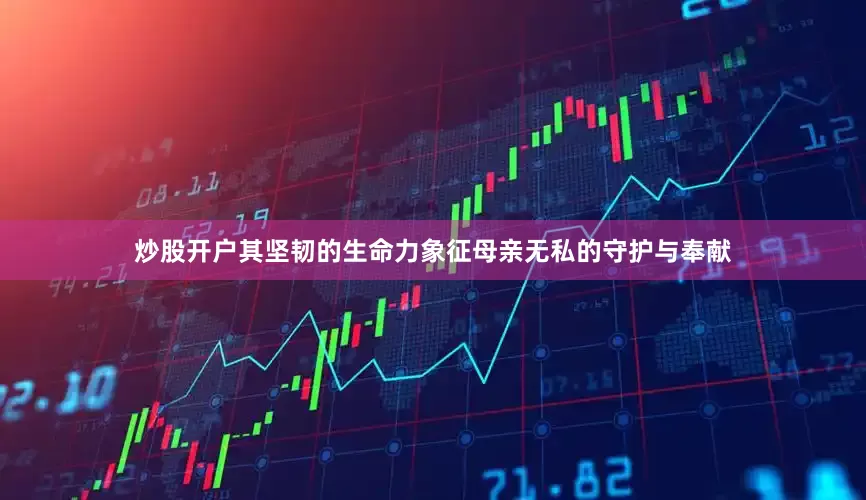 炒股开户其坚韧的生命力象征母亲无私的守护与奉献
