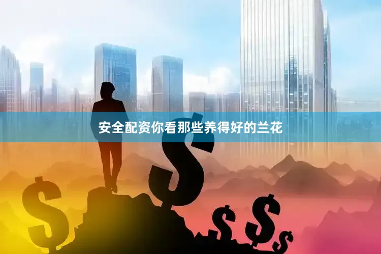 安全配资你看那些养得好的兰花