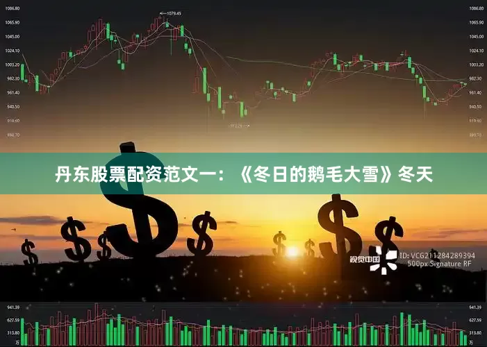 丹东股票配资范文一：《冬日的鹅毛大雪》冬天