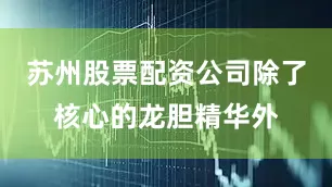 苏州股票配资公司除了核心的龙胆精华外